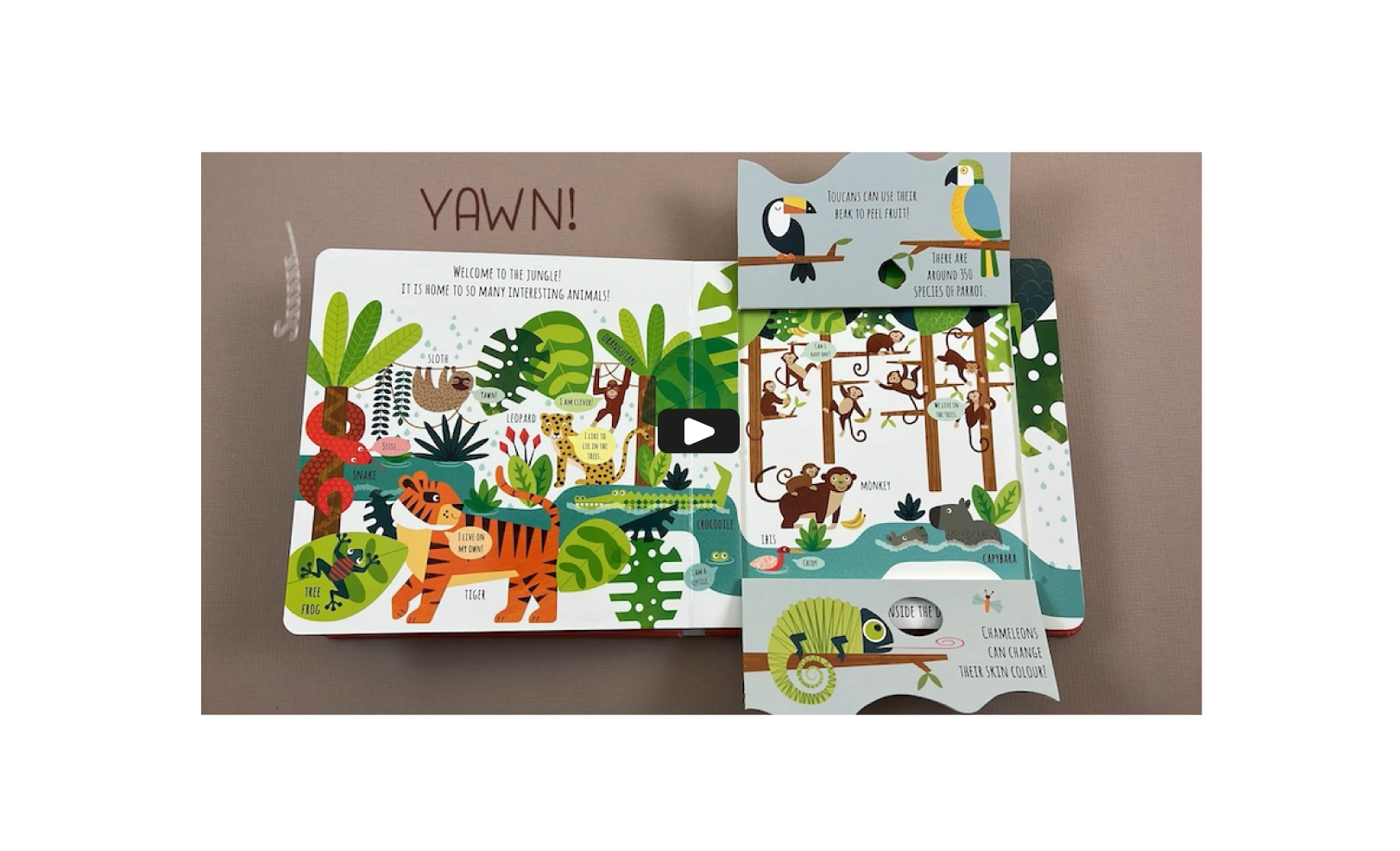 launch Peek Inside – The Wild video