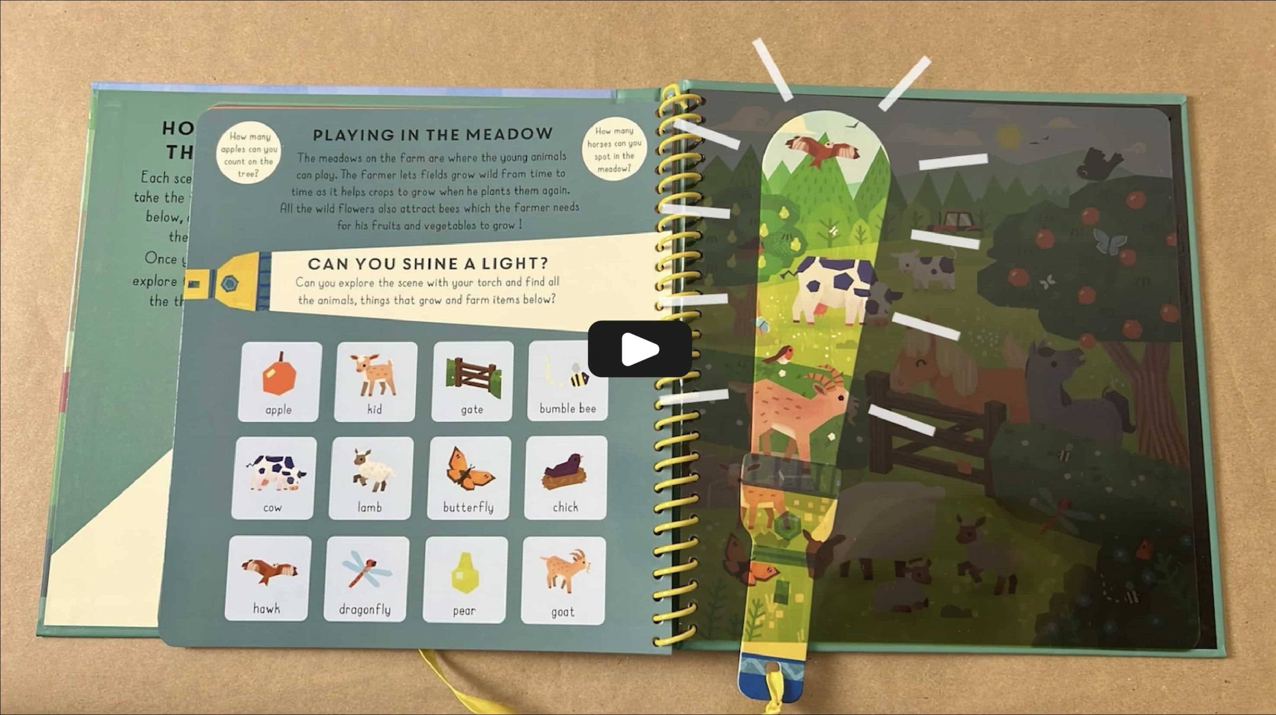 launch Shine-a-light – Farmyard video