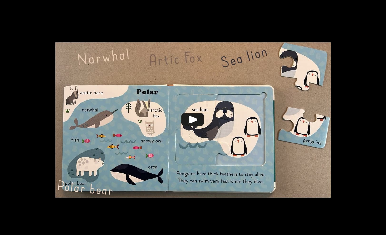 launch Jolly Jigsaws – Wild video