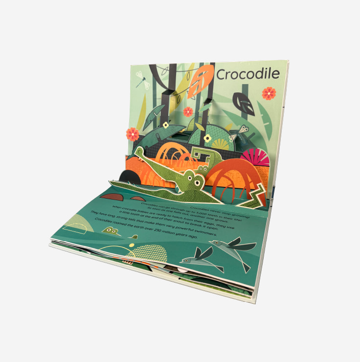 pop up planet jungle spread